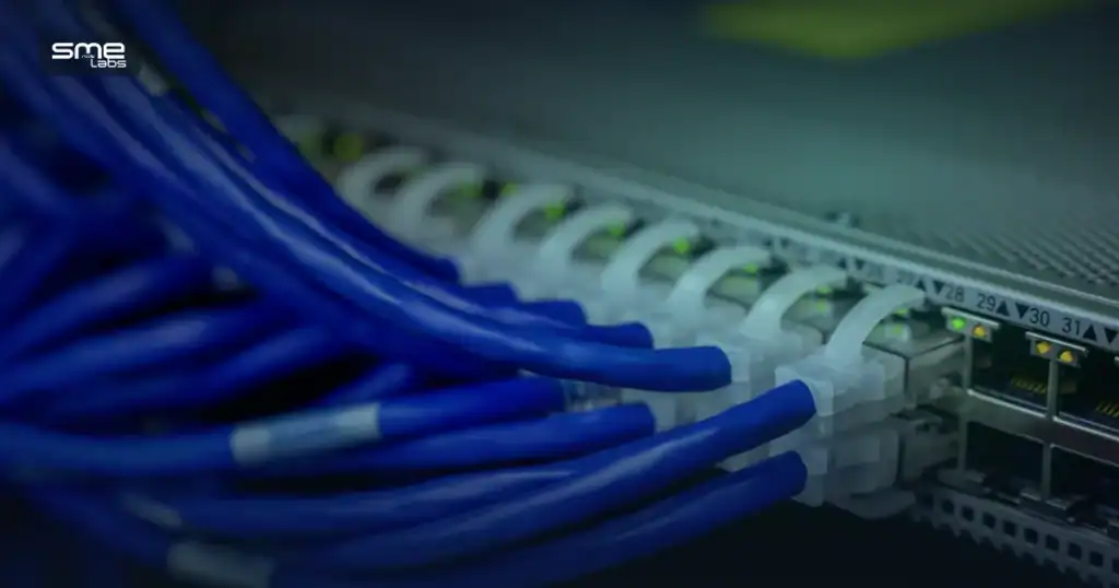Close-up of blue Ethernet cables connected to a network switch.