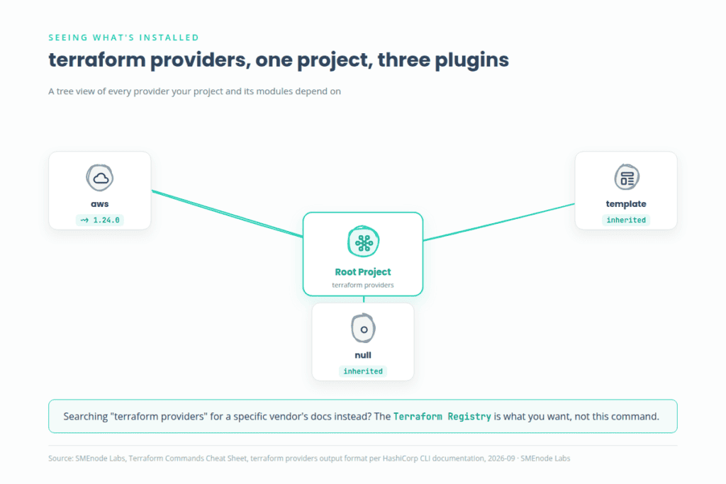 Terraform providers command, tree view of provider plugins per module
