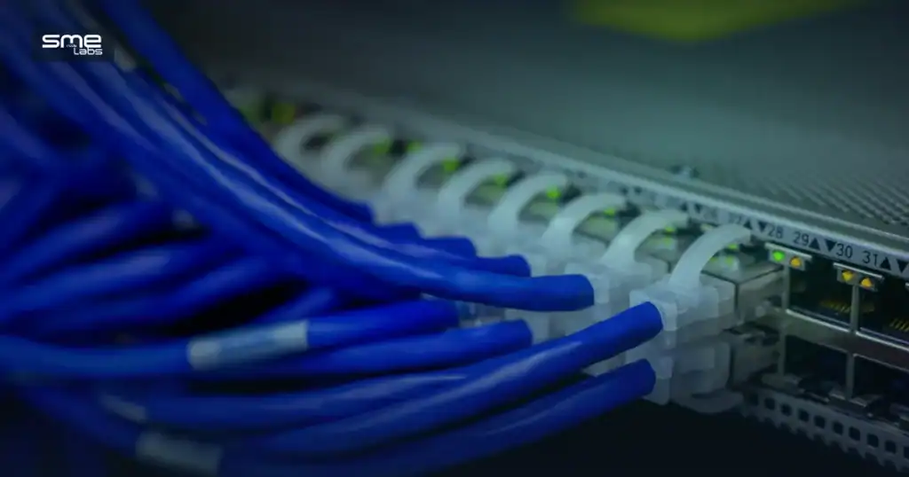 Blue ethernet cables connected to a network switch with LED status lights