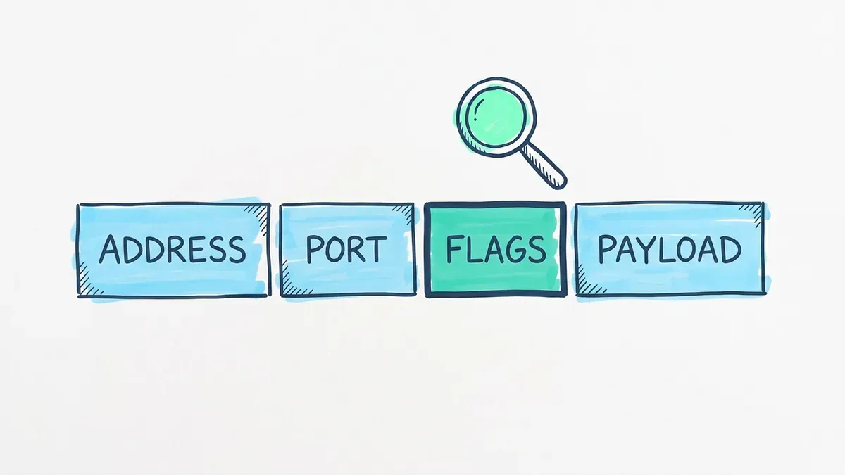 Sketch of a packet as four blocks labelled ADDRESS, PORT, FLAGS and PAYLOAD, with the FLAGS block shaded turquoise and a magnifying glass held over it.