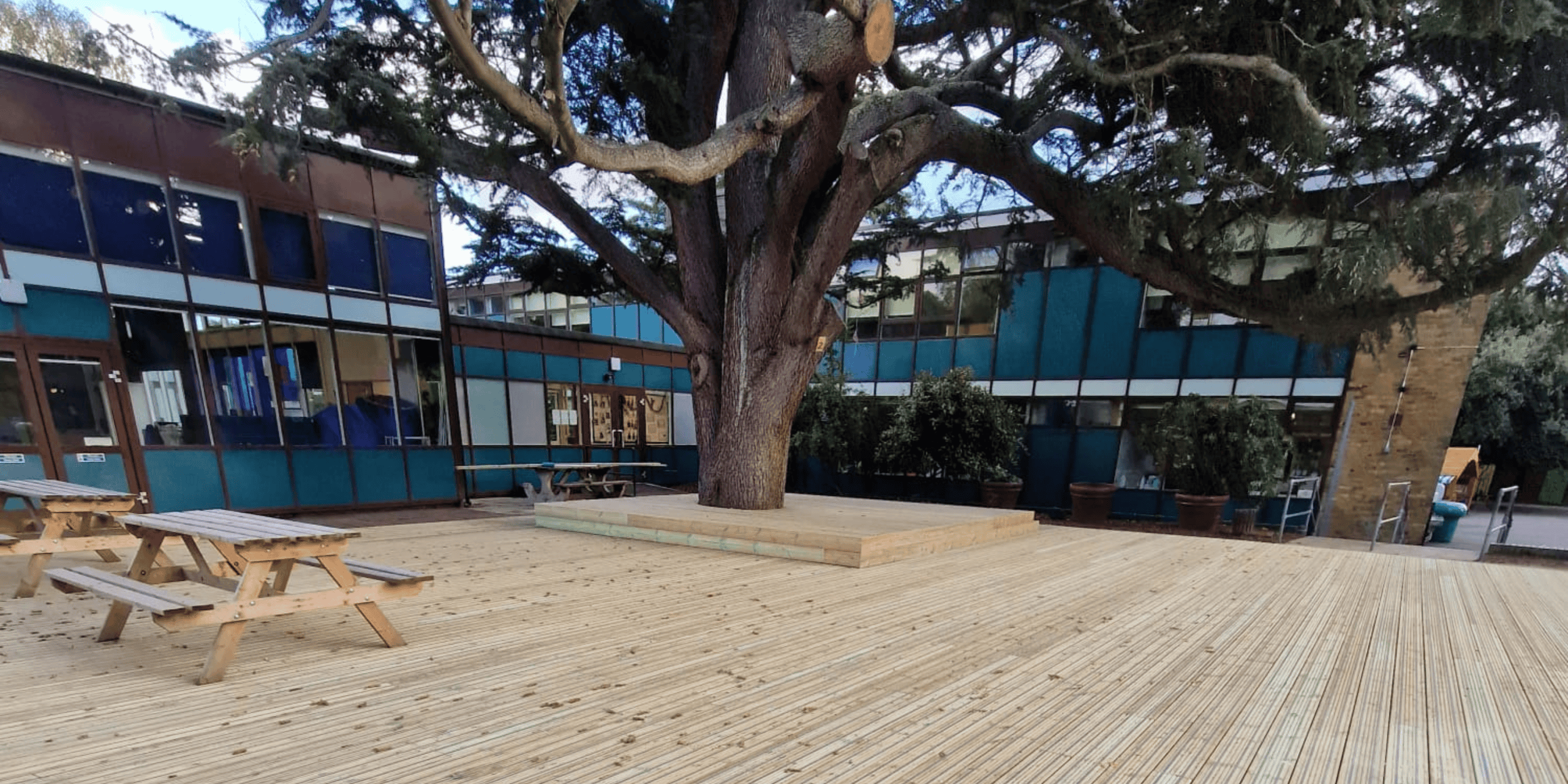 Large tree and wooden decking area with picnic benches at Maritime Academy Trust