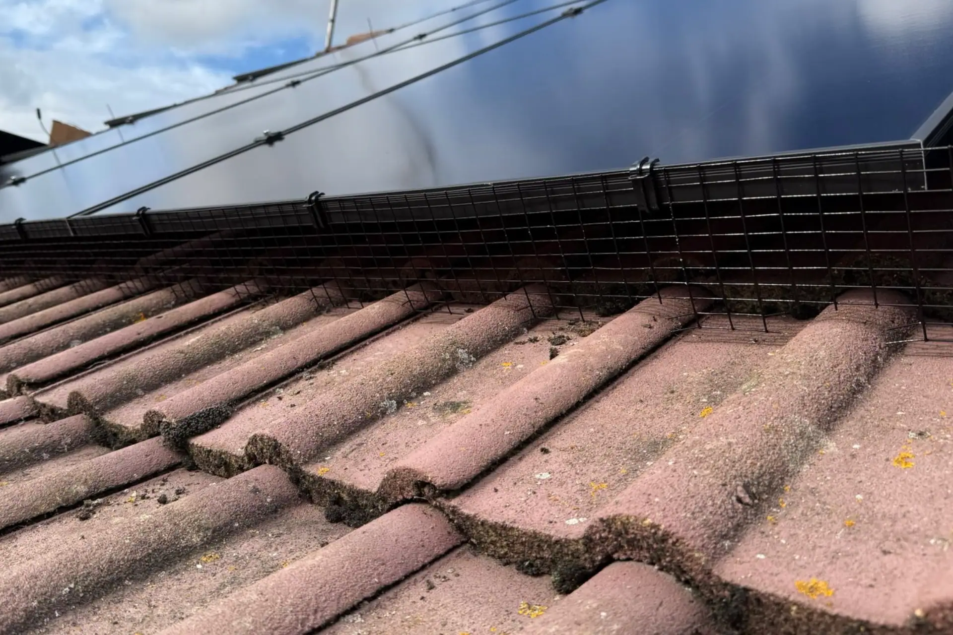 Solar Energy Companies in Kent