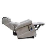 dual motor riser recliner chair fleet