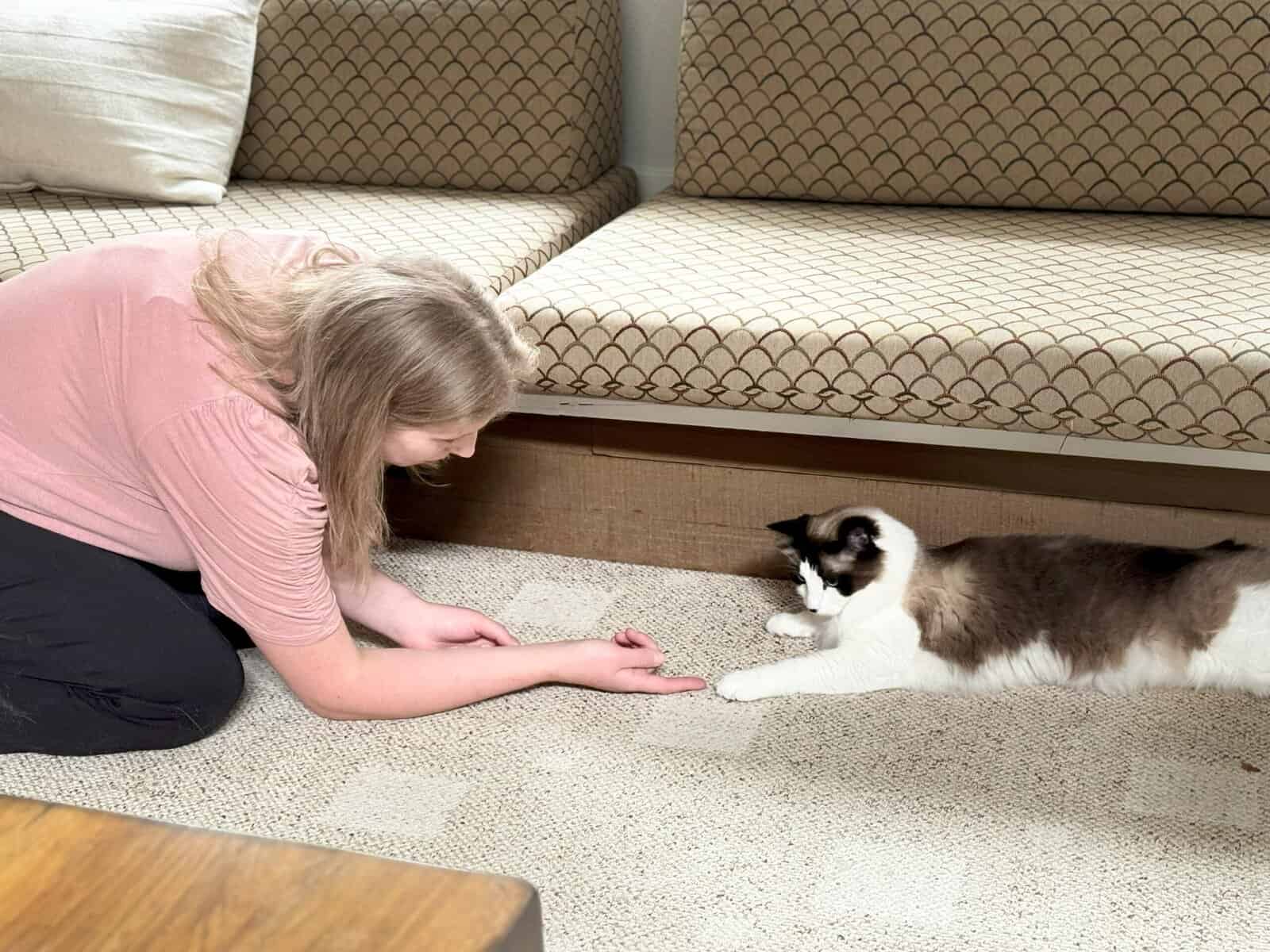 Whether the cats are more comfortable in laps or under furniture, Dr. Chrissy is comfortable joining them in their space.