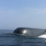 U-Boot mit Mastsystem auf dem Meer, made in Northern Germany.