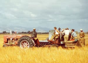 Old photo of family members on old tractor and plow being pulled through a field of golden wheat