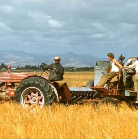 sons-of-the-soil