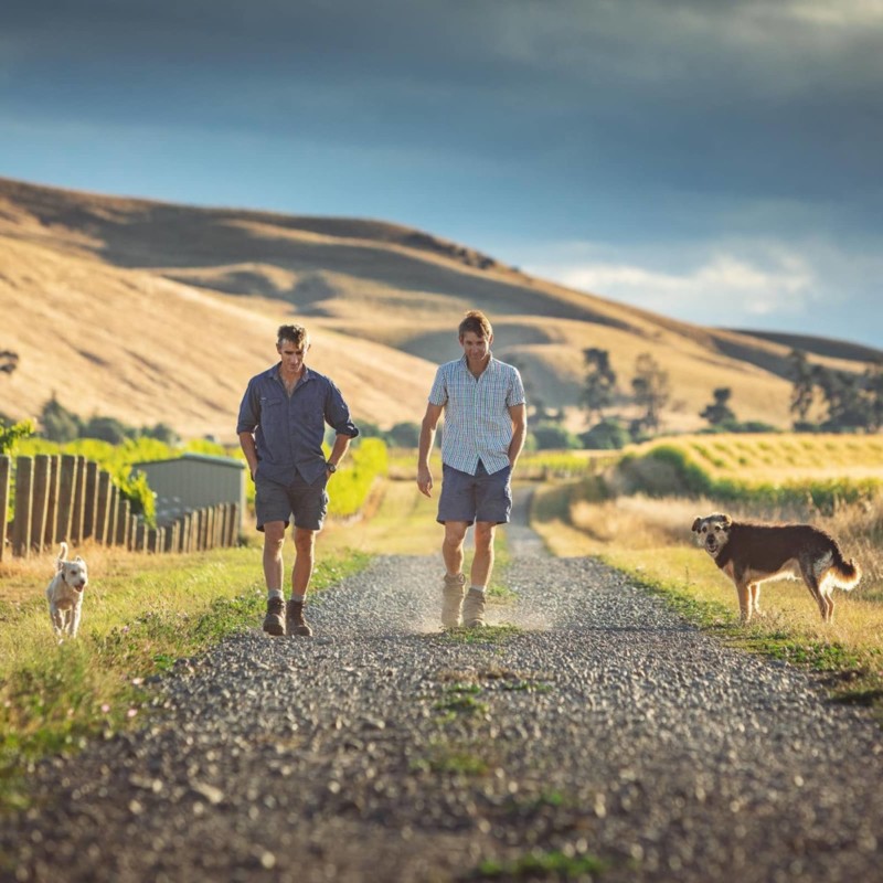 Brothers Andrew and James walking gravel road in vines with their dogs