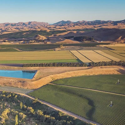 Vineyard landscape at Starborough Wines in Marlborough, New Zealand, featuring lush grapevines, rolling hills, and scenic vistas, showcasing premium wine production in a renowned wine region.