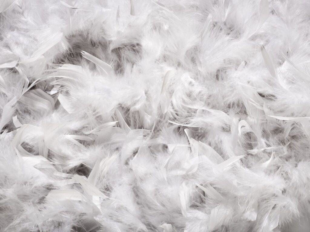 How to Wash a Sleeping Bag: A Comprehensive Guide 3 Down feather sleeping bag filling