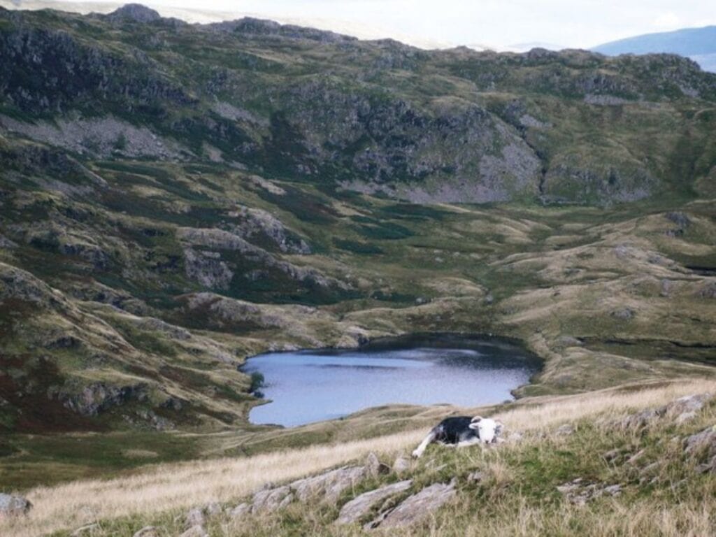 Top 10 Spots for Wild Camping Lake District 4 Codale Tarn, Grasmere Peter Smyly