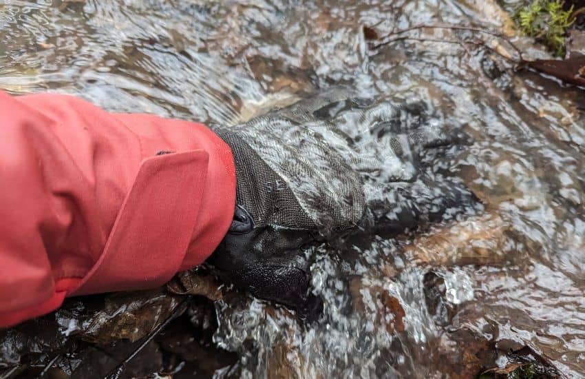 Sealskinz Harling Waterproof Gloves: Stay Dry Outdoors 3 Waterproof Glove