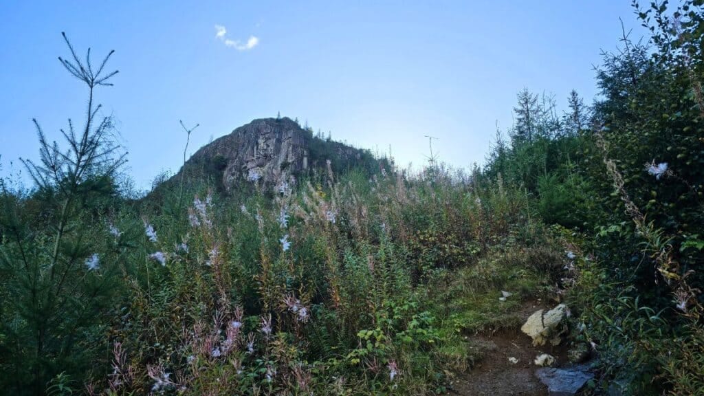 Raven Crag Walk: Route, Parking & Wild Camp Guide (2026) 2 Raven Crag Walk and Wild Camp Guide - looking up towards the viewpoint