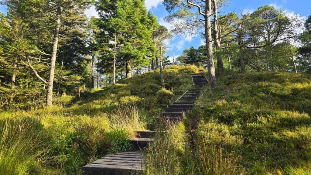 Raven Crag Walk: Route, Parking & Wild Camp Guide (2026) 4 Raven Crag Walk and Wild Camp Guide boardwalk