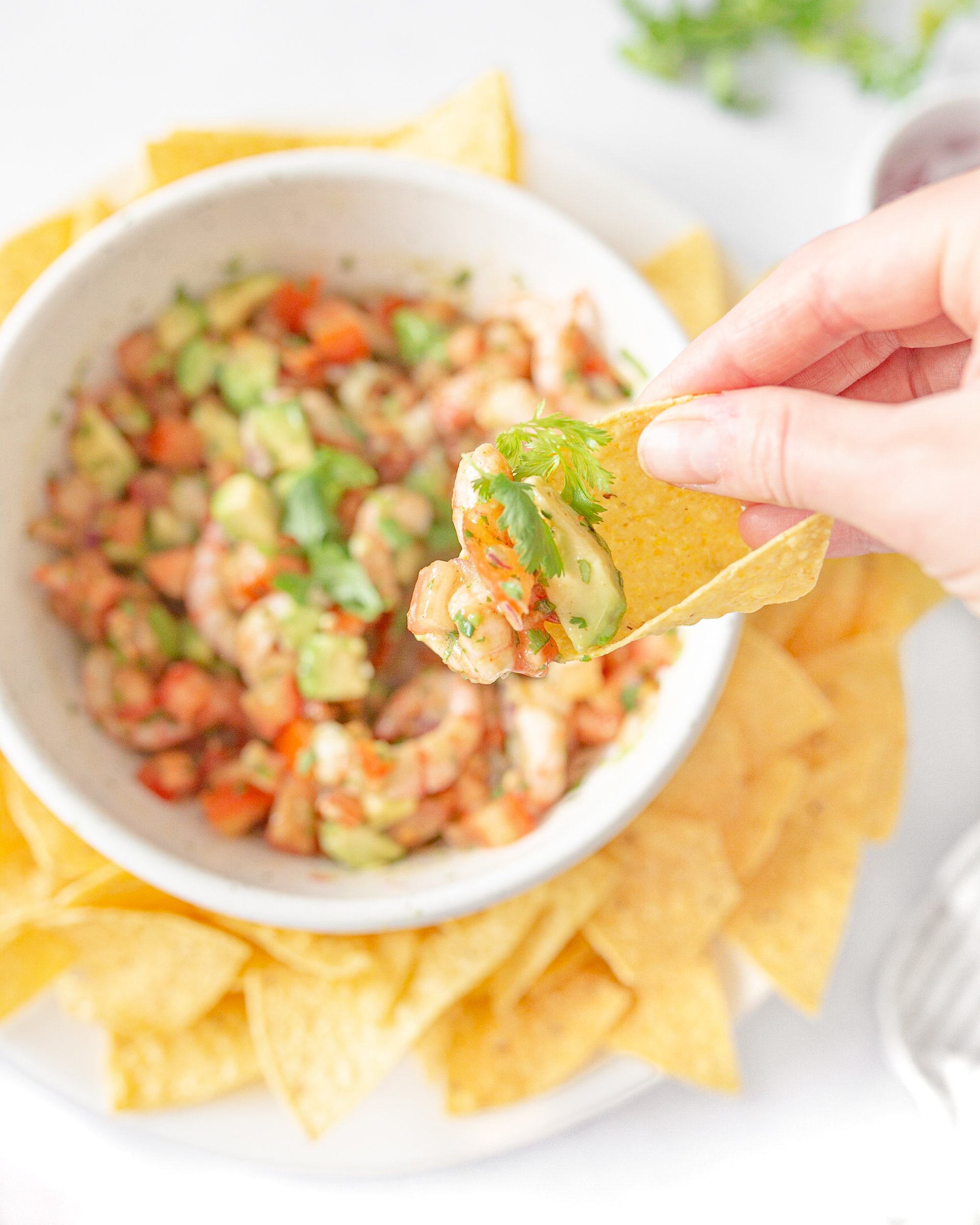 Avocado Shrimp Salsa (top down, close-up)