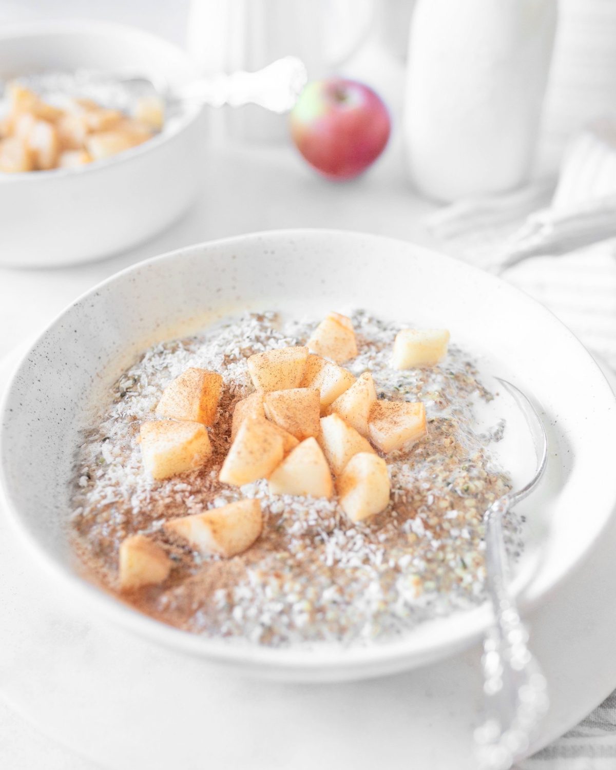 Low-carb Apple Cinnamon Seed "Oatmeal" in a bowl with a spoon.