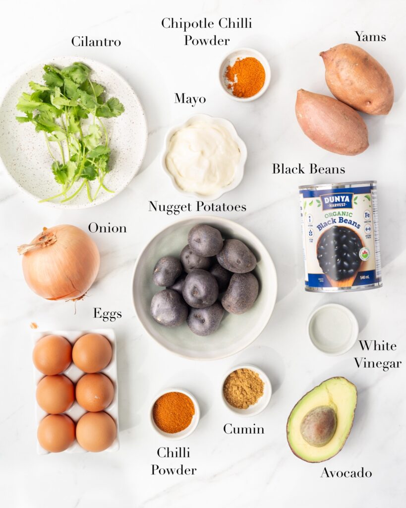 Ingredients for Southwest breakfast Bowls portioned out on a marble slab.
