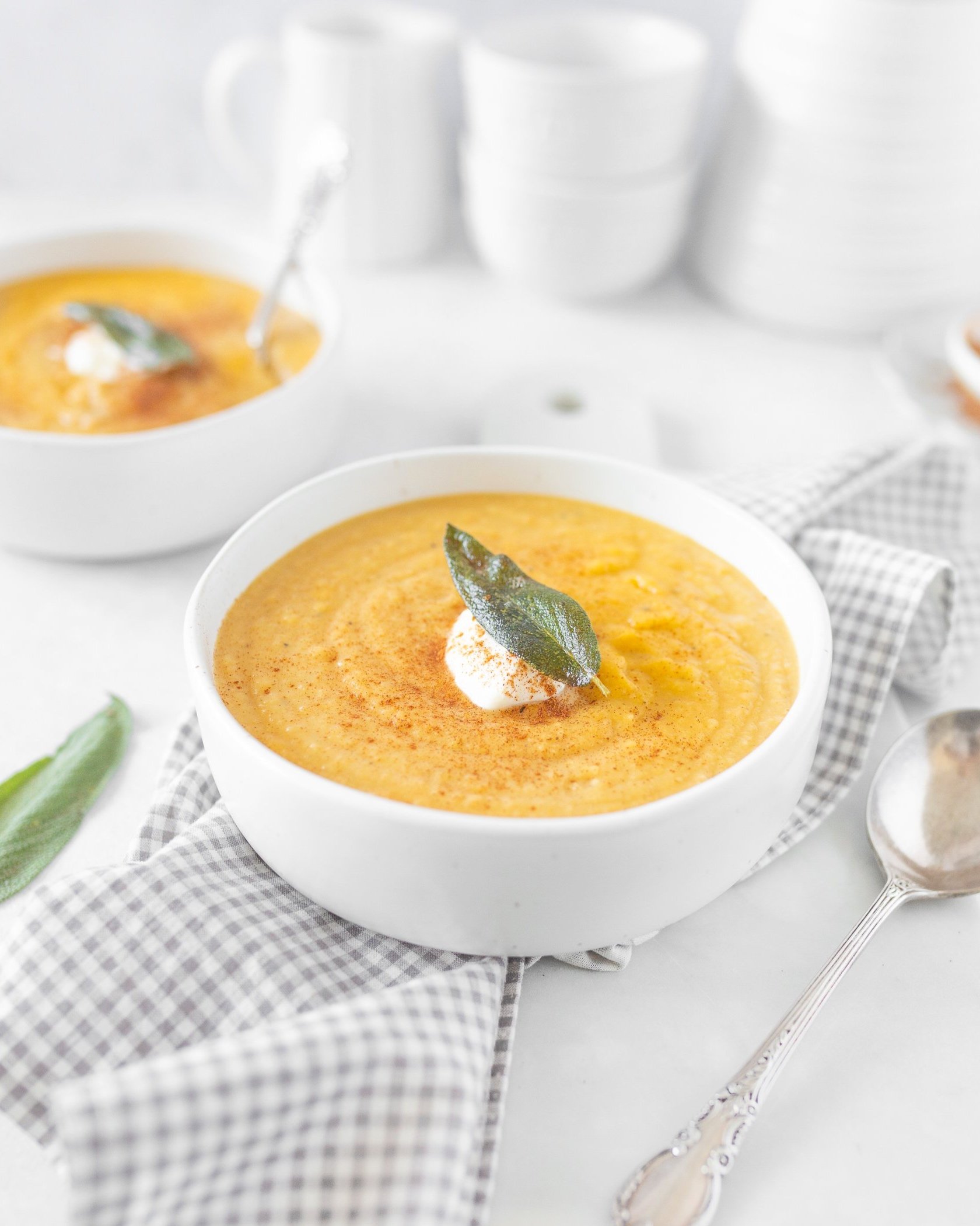 Roasted Butternut Squash and Apple Soup (straight on)