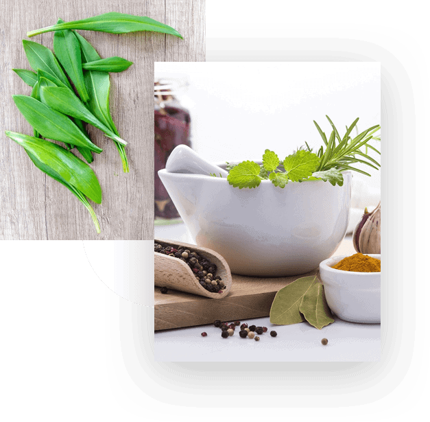 Herbal medicine ingredients with fresh herbs and spices for natural healing.