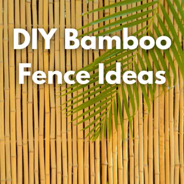 a bamboo fence with text that says DIY bamboo fence ideas