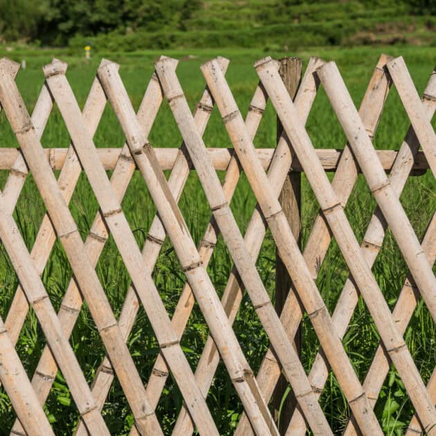 a trellis bamboo fence design for a DIY bamboo fence idea