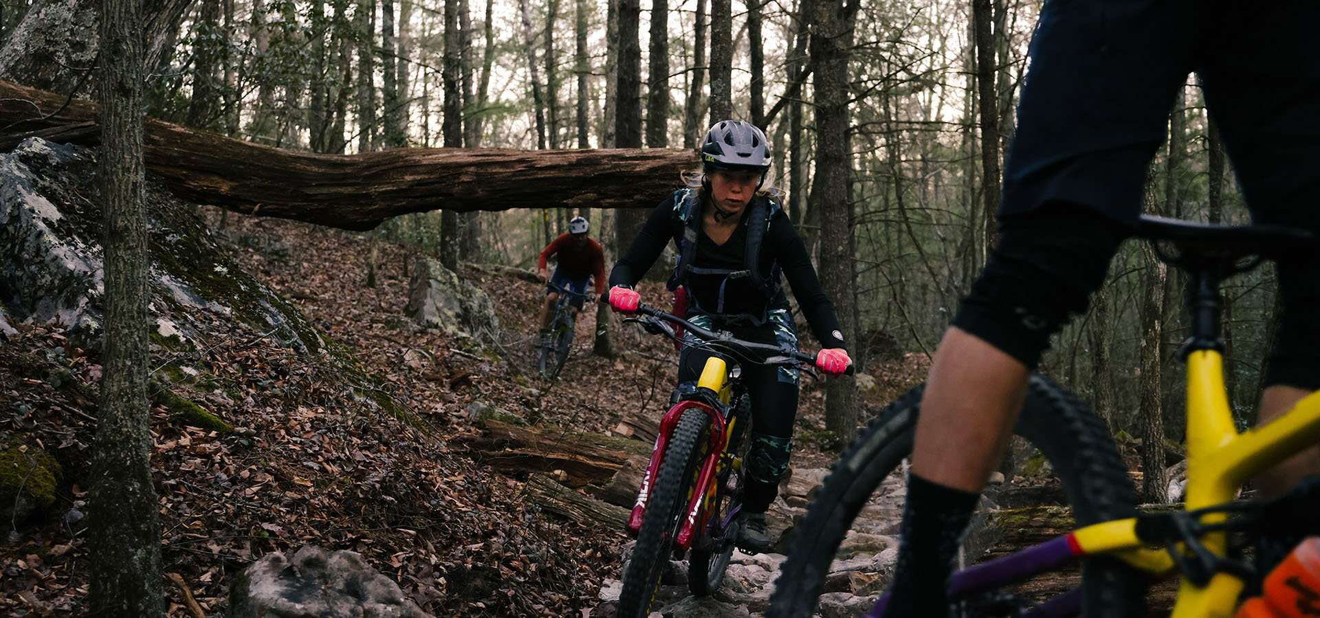 Mountain bikers riding a rocky wooded trail