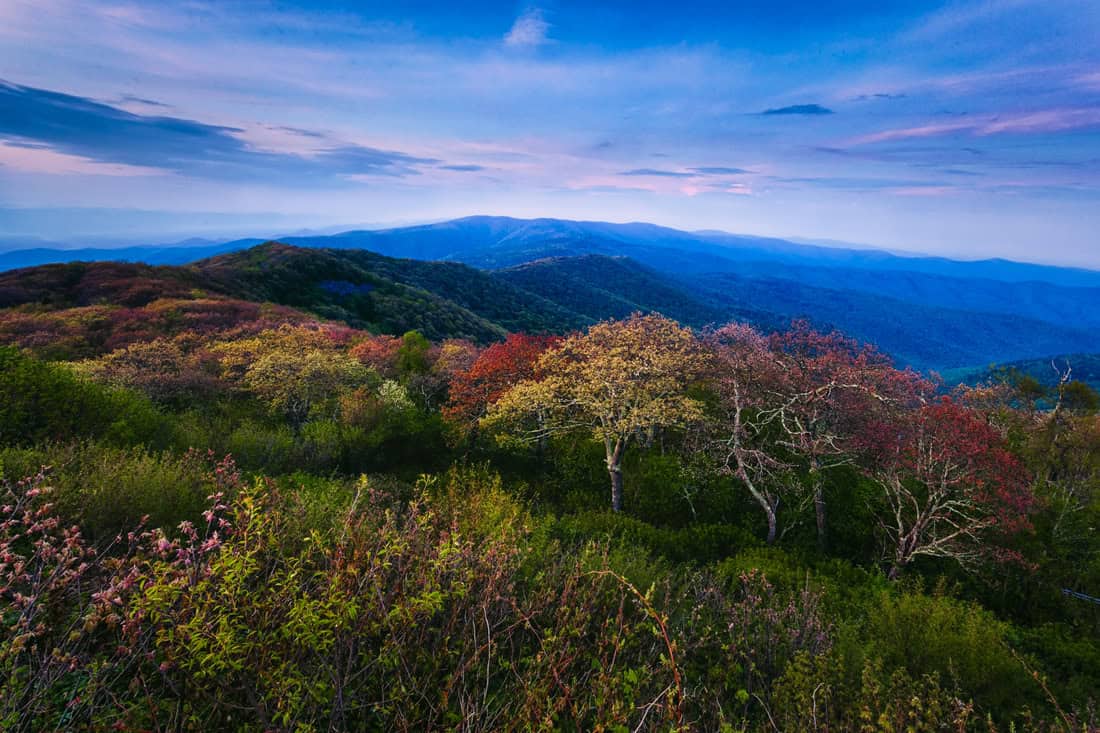 Trail in the George Washington National Forest roadless area