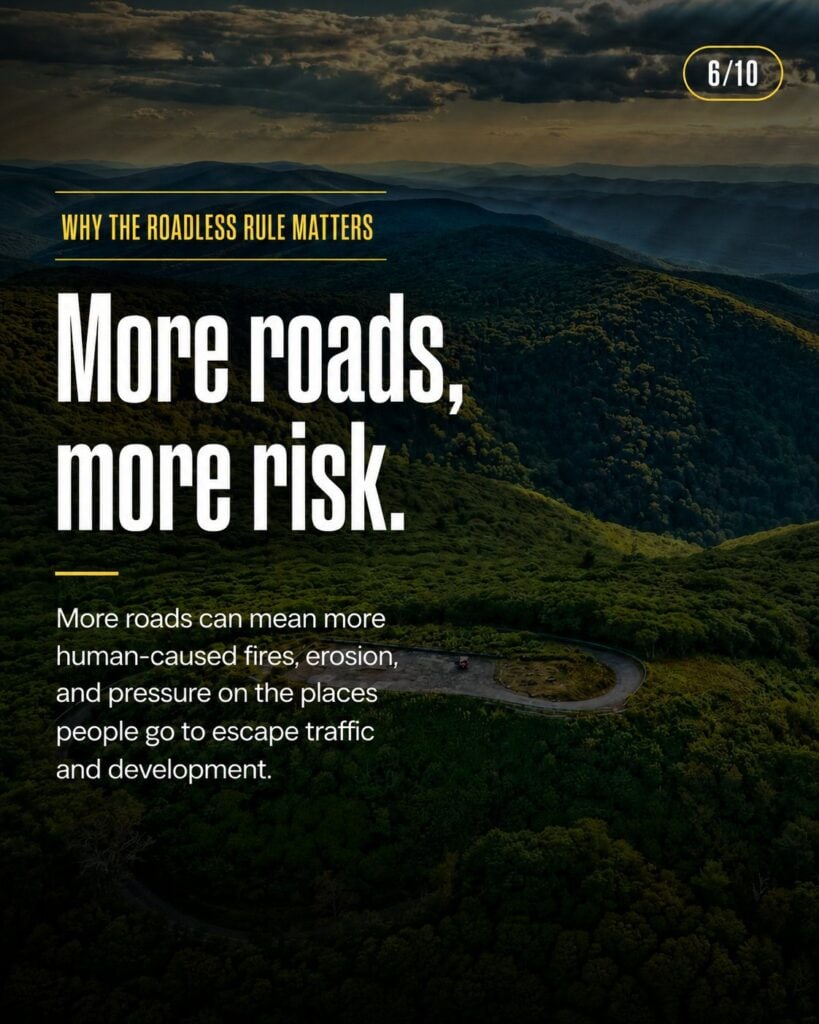 Roadless Rule graphic reading “More roads, more risk” over a winding road through forested mountains, noting more roads can mean more human-caused fires and erosion