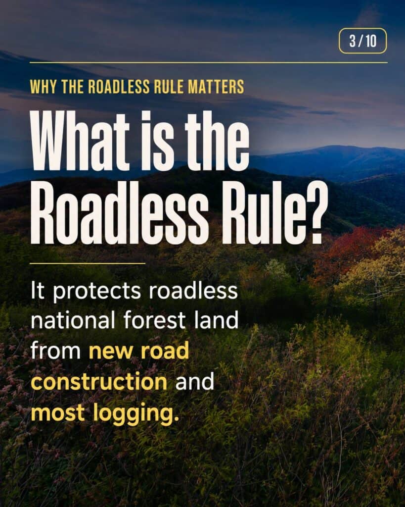 Graphic titled “What is the Roadless Rule?” explaining that the rule protects roadless national forest land from new road construction and most logging