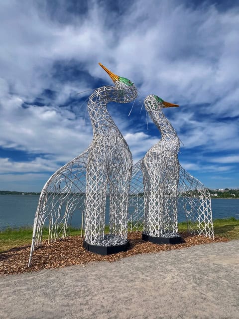Giant metal swan sculptures displayed outdoors during the community opening of "Dancing for Joy.".