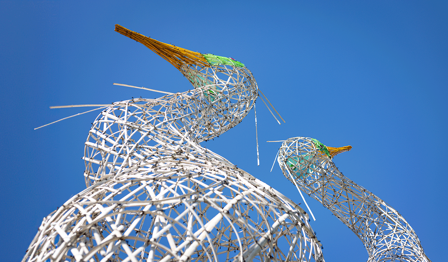Featured image for “Soaring Together with TEMPOart”