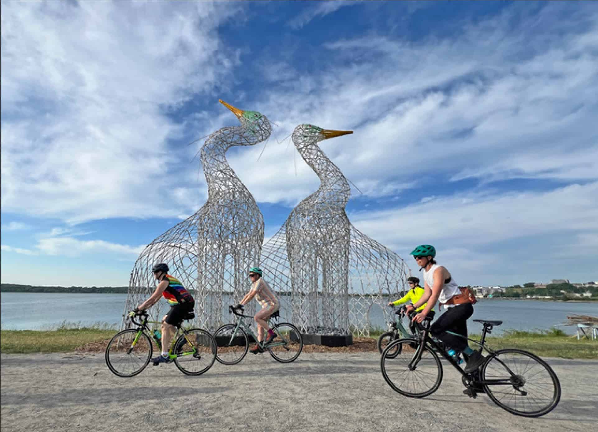 Featured image for “The Power of Public Art: A Special Message from TEMPOart Board Member Sue Lambe”