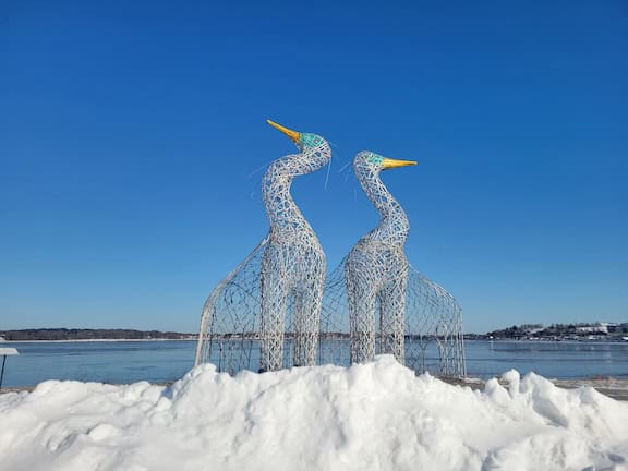 Large metal sculptures of two swans by the water.