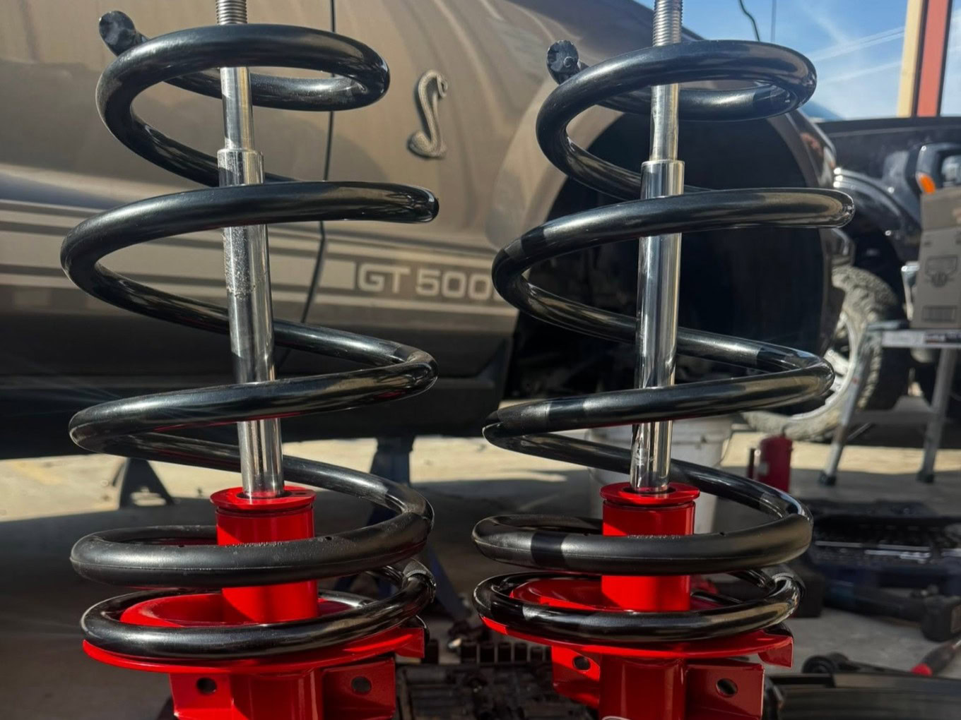 Automotive suspension coil springs displayed at Texas Automotive & Tire LLC.