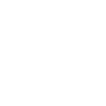 BMW vehicle being serviced at Texas Tire LLC auto shop in Texas.