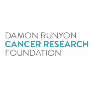 Damon Runyon Cancer Research Foundation logo