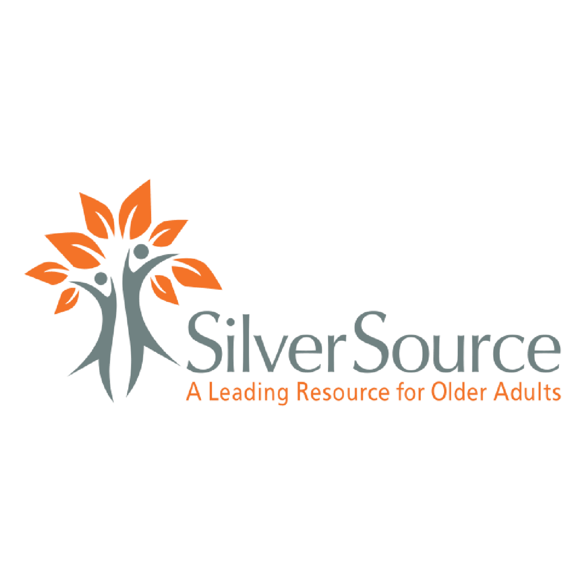 SilverSource