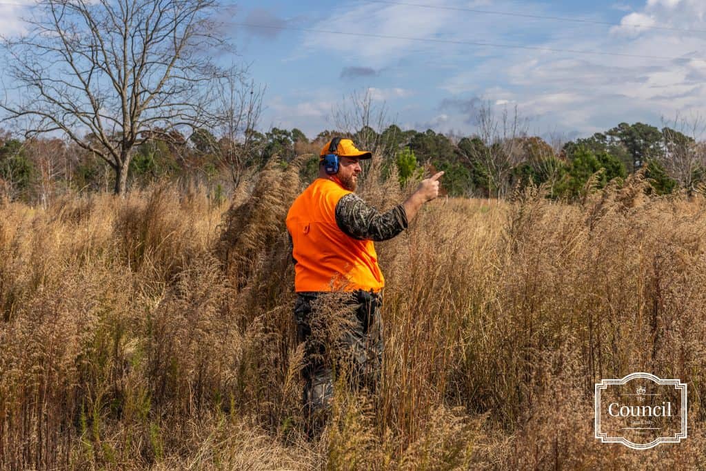 Hunter pointing at Quail during The Council Gun Club Annual Hunt