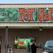 Pet shop specializing in reptiles and back road reptiles in Fostoria, Ohio.