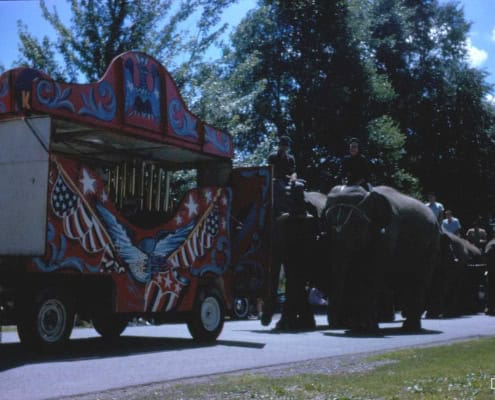 Colorful parade float with horses and riders in sunny outdoor setting, community event in Fostoria.