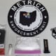 Fostoria News Methamphetamine, firearm, and drug paraphernalia seized in Wyandot County raid.