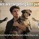 Scammers targeting lost pets online warning with a man holding a dog and a phone showing a suspiciou.