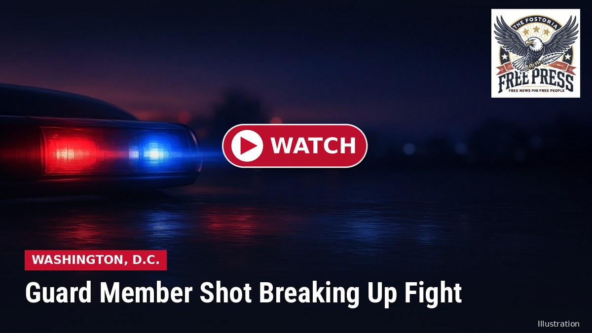 Illustration: police lights on a city street at night with WASHINGTON, D.C. | Guard Member Shot Breaking Up Fight