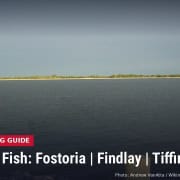 Fostoria News - Findlay Reservoir 2 seen from the boat launch area, with headline: Where to Fish: Fostoria | Findlay | Tiffin