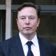 Musk