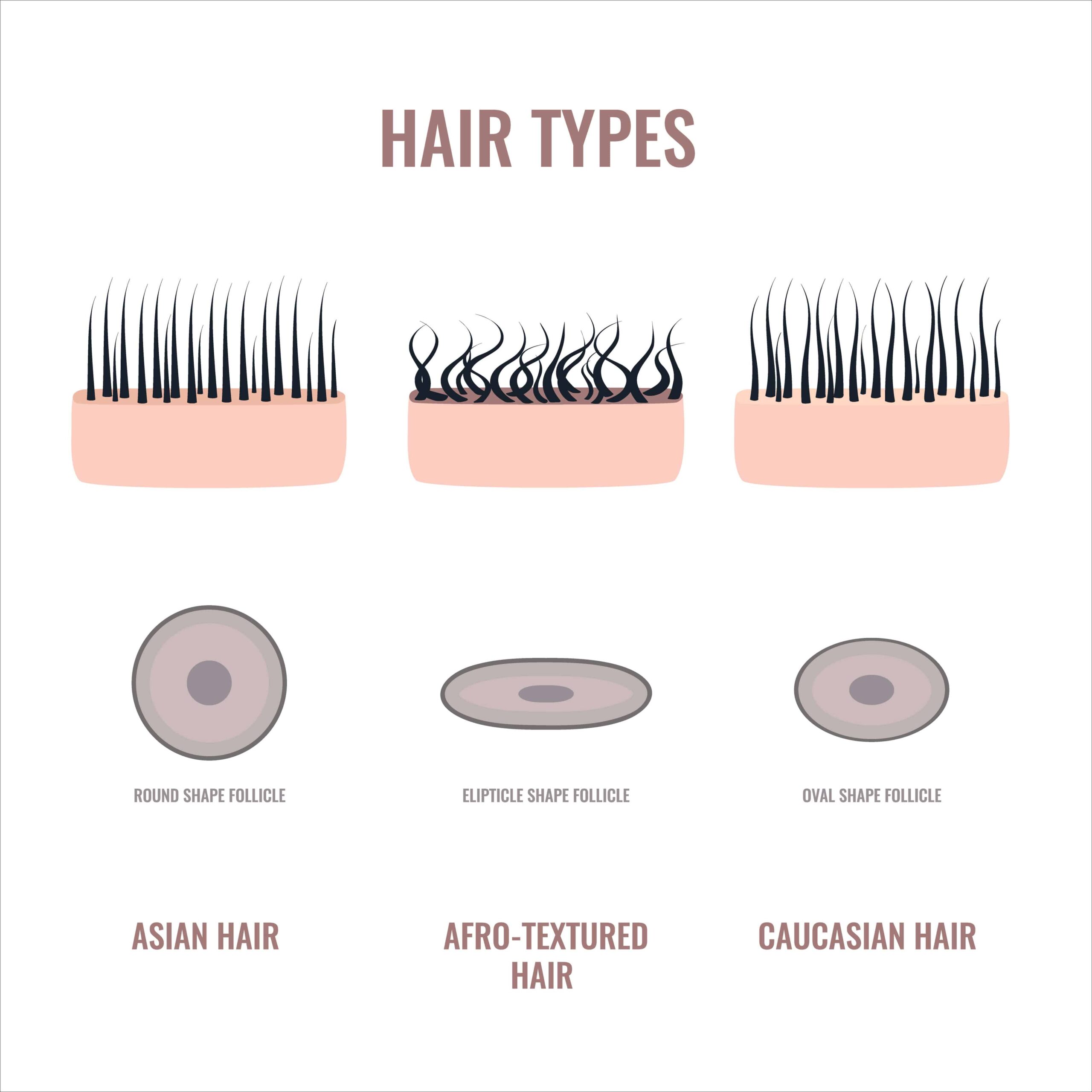 Hair types chart set of straight, wavy and curly strands.