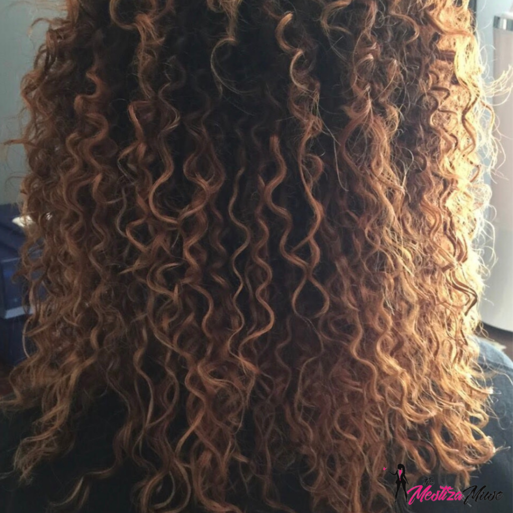 The back of my damaged, high porosity hair before consistent care.