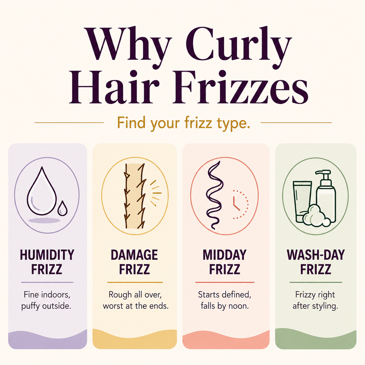 Infographic titled Why Curly Hair Frizzes showing four frizz types: humidity, damage, midday, and wash-day frizz.