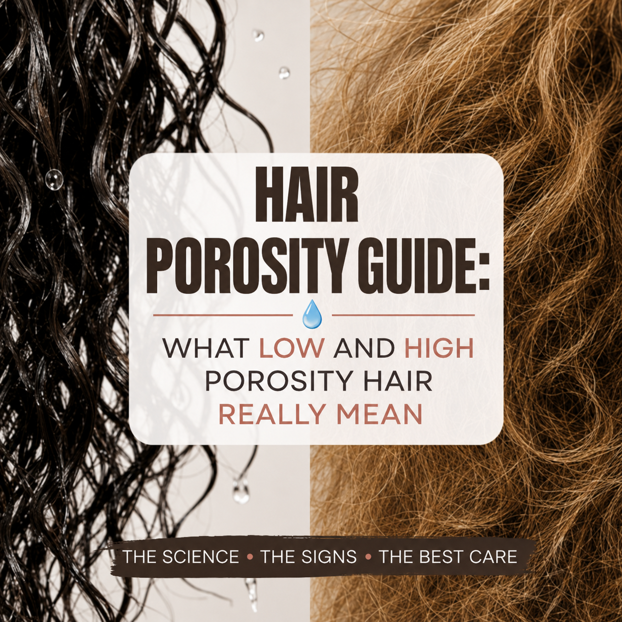 Close-up comparison of low vs high hair porosity showing wet glossy curls with water beads beside dry frizzy curly hair texture.