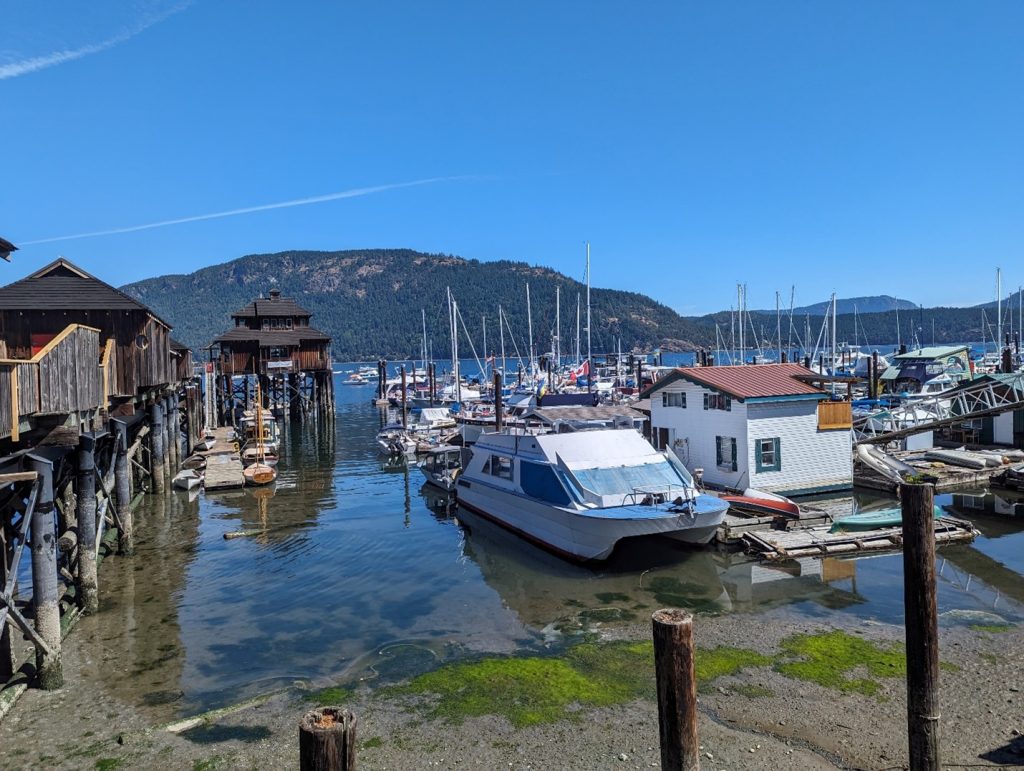 Small boats and houseboats docked at a marina with wooden piers, calm water, and a backdrop of forested hills under a clear blue sky.